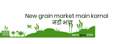 Mandi Image